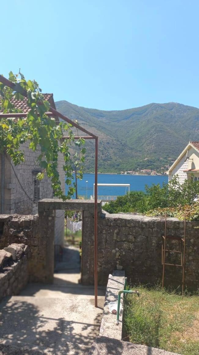 Apartments Vukasovic Kotor Exterior foto